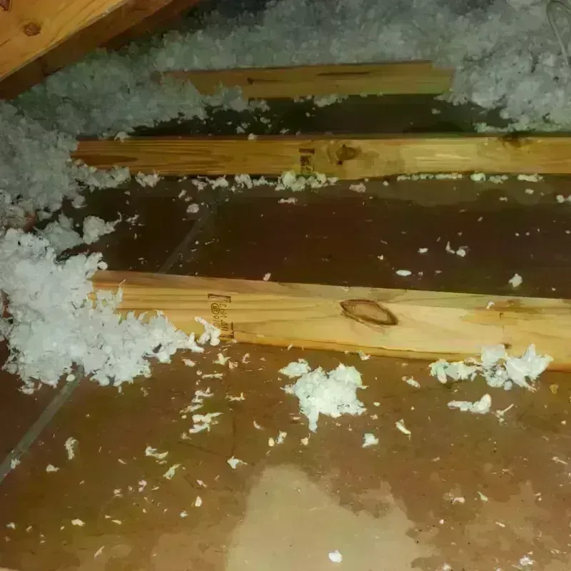 Attic Water Damage in Hightstown, NJ